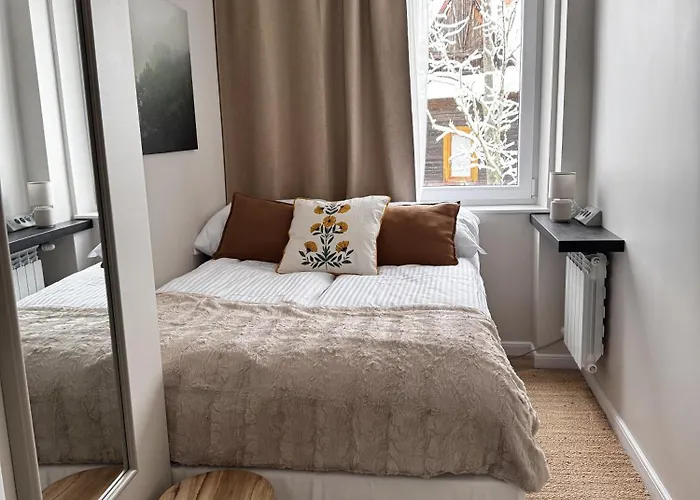 Cicha Przystan W Centrum Zakopanego Apartzakop