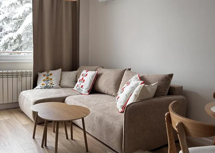 Cicha Przystan W Centrum Zakopanego Apartzakop