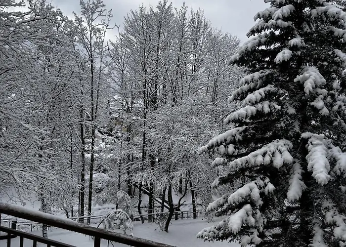 Cicha Przystan W Centrum Zakopanego Apartzakop Lägenhet